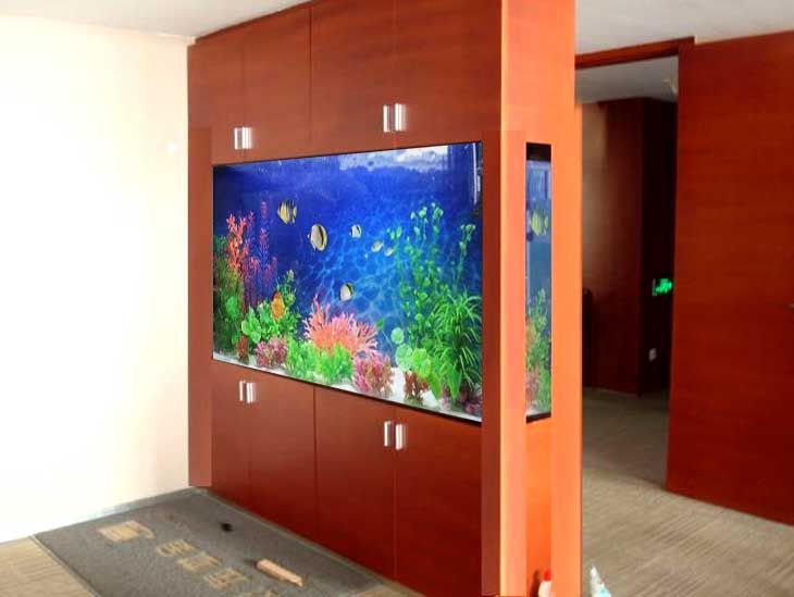 昆明搬家搬運魚缸需要注意的事項有哪些？