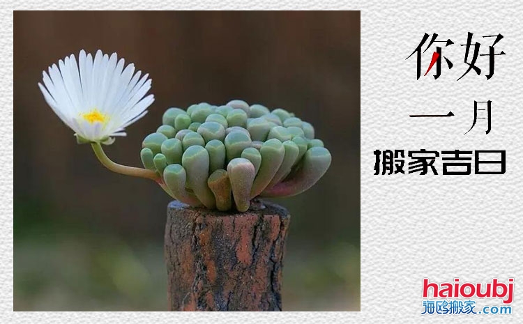 2019年1月搬家吉日,搬家吉日查詢(xún),黃道吉日.jpg 2019年1月搬家吉日,搬家吉日查詢(xún),黃道吉日.jpg