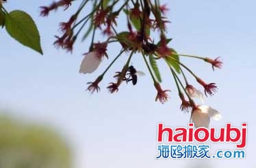 2019年春節(jié)冷不冷-2019年春節(jié)天氣預測.jpg 2019年春節(jié)冷不冷-2019年春節(jié)天氣預測.jpg